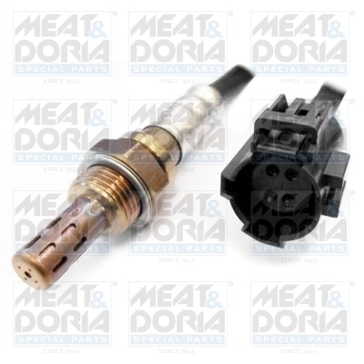 Oxygen Sensor